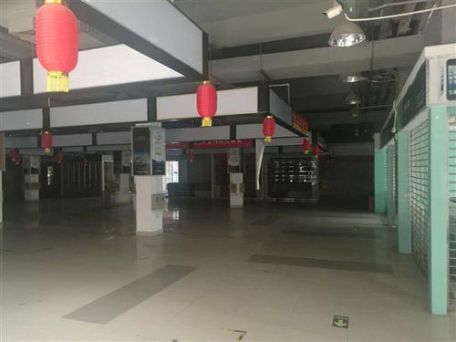 河源市廠房安全檢測鑒定機構 創新技術指導助力企業安全生產，筑牢工業發展基石